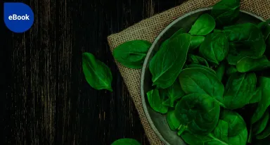 eBook - Guide : “Tout savoir sur le conditionnement sous atmosphère protectrice”