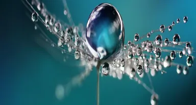 Zrównoważony rozwój